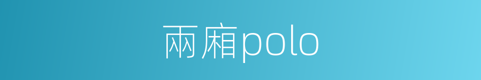 兩廂polo的同義詞