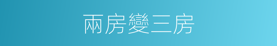 兩房變三房的同義詞
