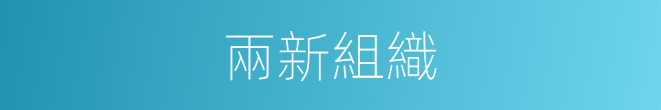 兩新組織的意思