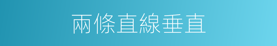 兩條直線垂直的同義詞