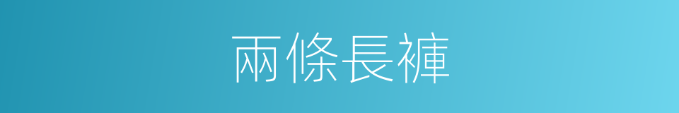 兩條長褲的同義詞