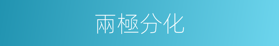 兩極分化的意思