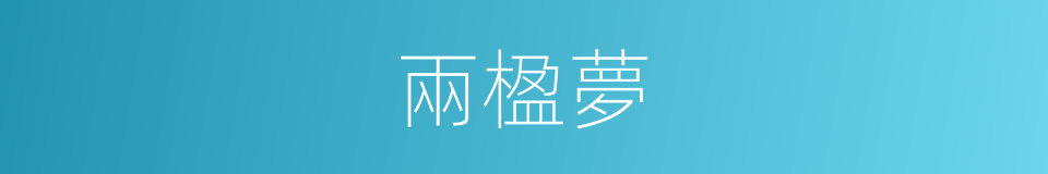 兩楹夢的意思