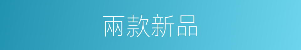 兩款新品的同義詞