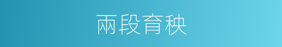 兩段育秧的同義詞