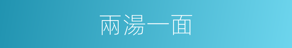 兩湯一面的同義詞