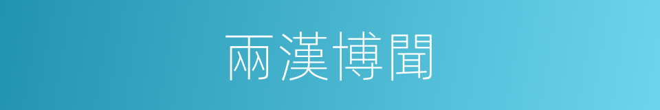 兩漢博聞的同義詞
