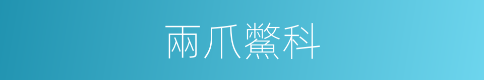 兩爪鱉科的同義詞