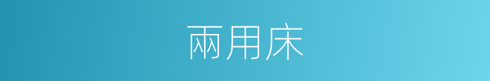 兩用床的同義詞