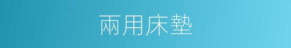 兩用床墊的同義詞