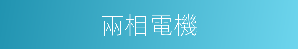 兩相電機的同義詞