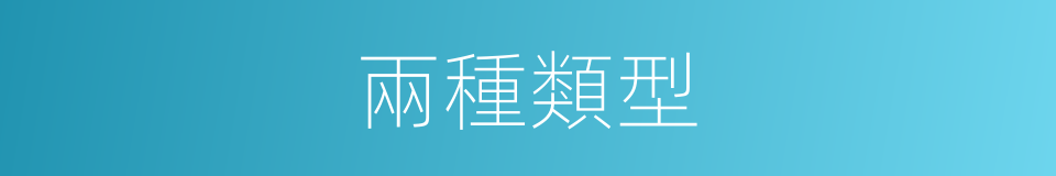 兩種類型的同義詞