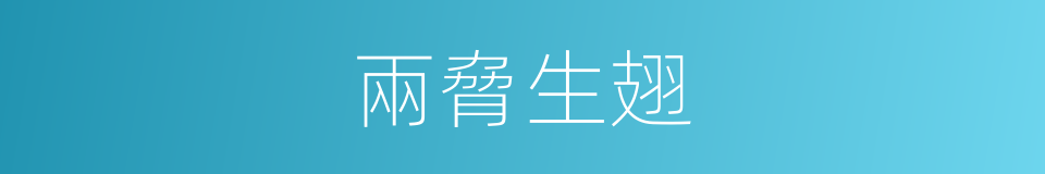 兩脅生翅的意思