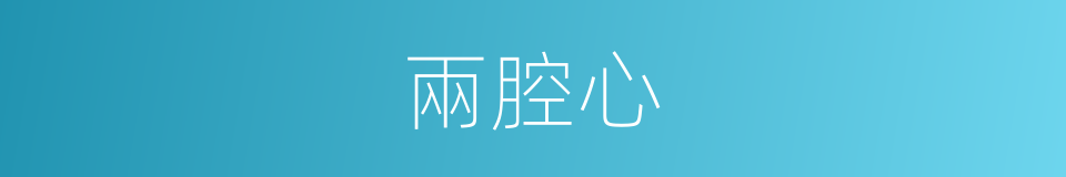 兩腔心的同義詞