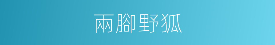 兩腳野狐的同義詞