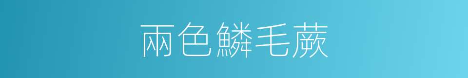 兩色鱗毛蕨的同義詞