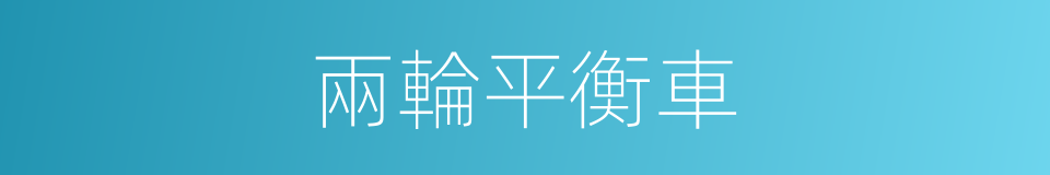 兩輪平衡車的同義詞