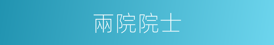 兩院院士的同義詞