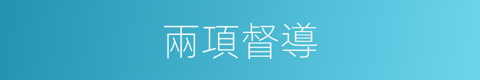 兩項督導的同義詞