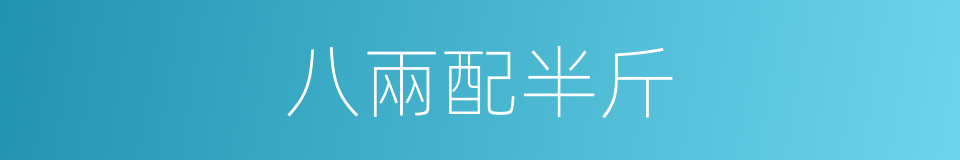八兩配半斤的意思