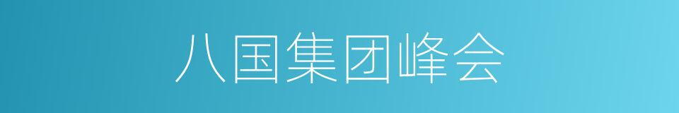八国集团峰会的同义词