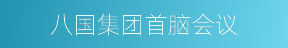 八国集团首脑会议的同义词