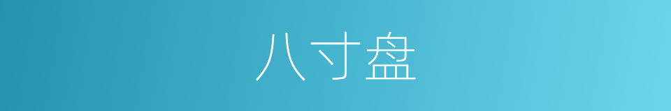 八寸盘的同义词