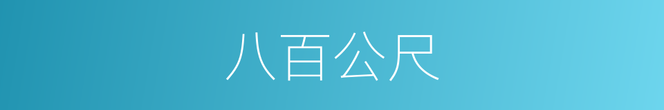 八百公尺的同义词