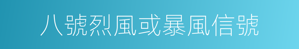 八號烈風或暴風信號的同義詞