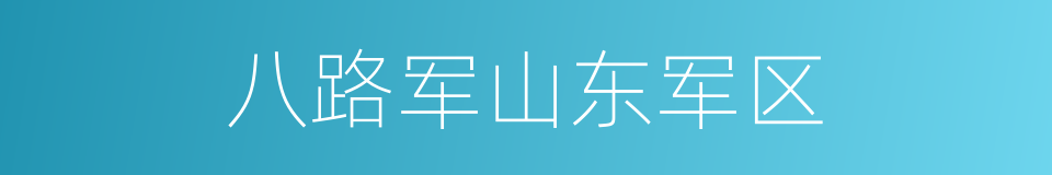 八路军山东军区的同义词