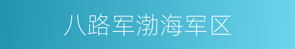 八路军渤海军区的同义词