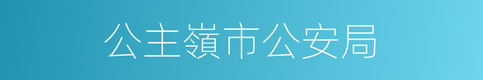 公主嶺市公安局的同義詞