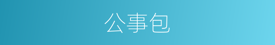 公事包的同义词