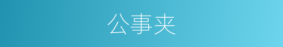 公事夹的同义词