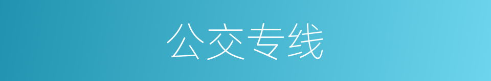 公交专线的同义词