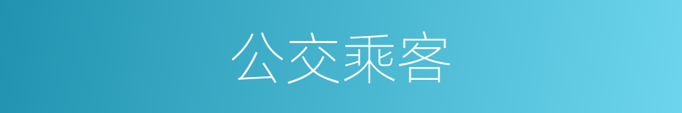 公交乘客的同义词