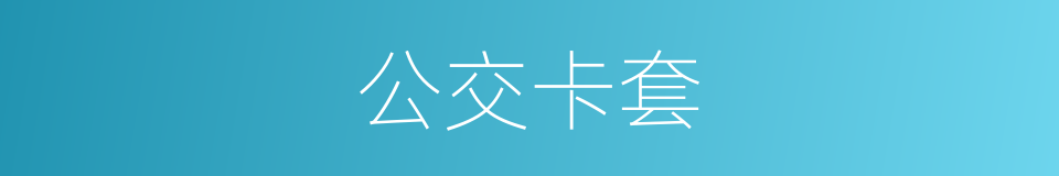 公交卡套的同义词