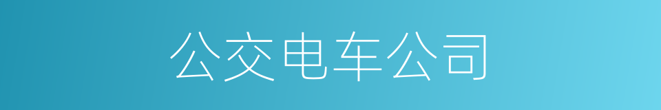 公交电车公司的同义词