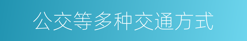 公交等多种交通方式的同义词