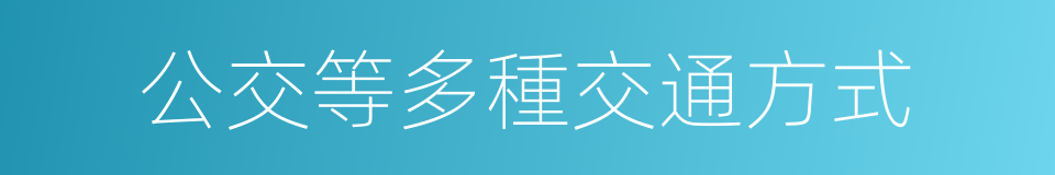 公交等多種交通方式的同義詞