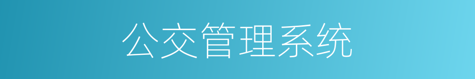 公交管理系统的同义词