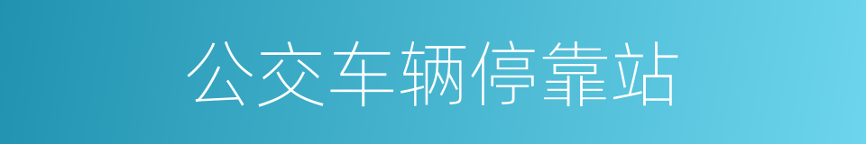 公交车辆停靠站的同义词