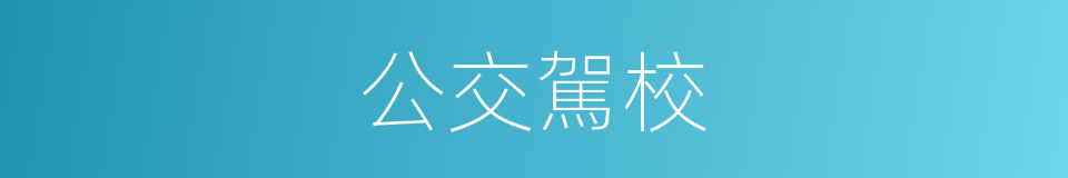 公交駕校的同義詞