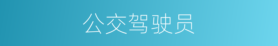 公交驾驶员的同义词
