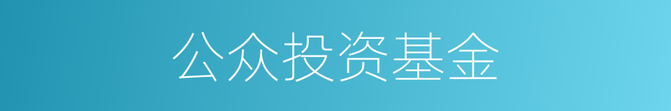 公众投资基金的意思