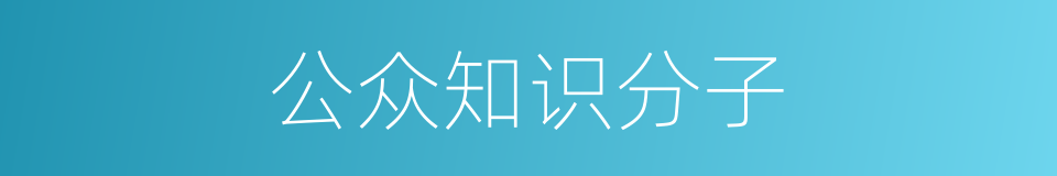 公众知识分子的同义词