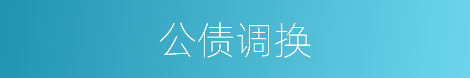 公债调换的同义词