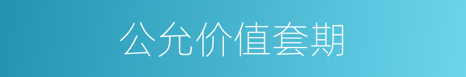 公允价值套期的同义词