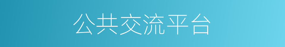 公共交流平台的同义词