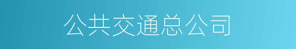 公共交通总公司的同义词